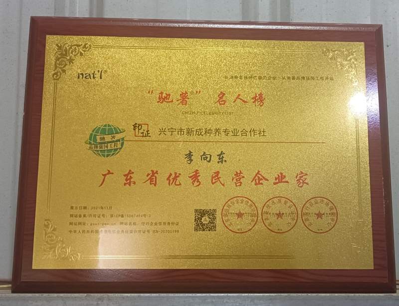 广东省优秀民营企业家